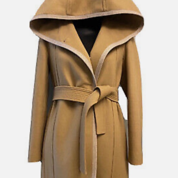 Aritzia Wilfred Wool/Cashmere Coat - Picture 1 of 4
